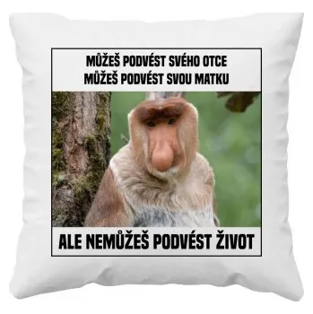 Žertovný předmět Můžeš podvést svého otce, můžeš podvést svou matku - polštář s potiskem- Tričkový.cz