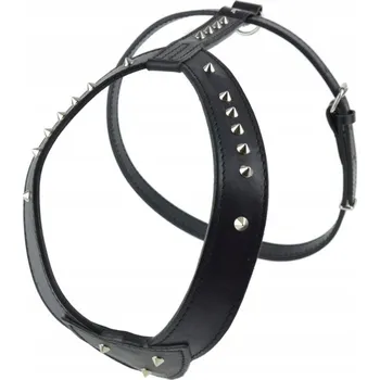Postroj pro psa Champion kožený postroj nastavitelný šitý zdobený 90 cm