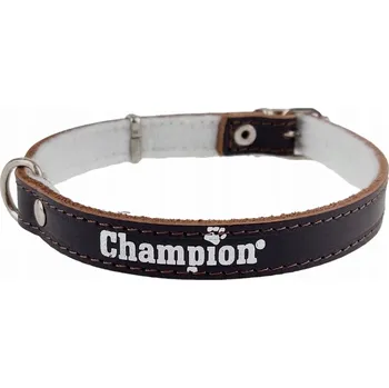 Obojek pro psa Kožený obojek pro psa Champion vel. S
