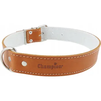 Obojek pro psa Kožený obojek pro psa Champion vel. XXL