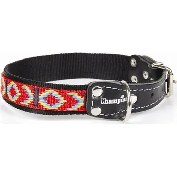 Obojek pro psa Kožený obojek pro psa Champion vel. M