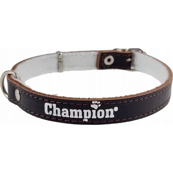 Obojek pro psa Kožený obojek pro psa Champion vel. XS/S