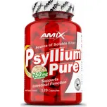 Amix Psyllium 120 kapslí