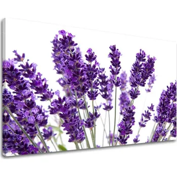 Obraz Nástěnná malba KVĚTINY XOBKV128E11