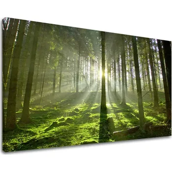 Obraz Nástěnná malba STROMY ST021E11