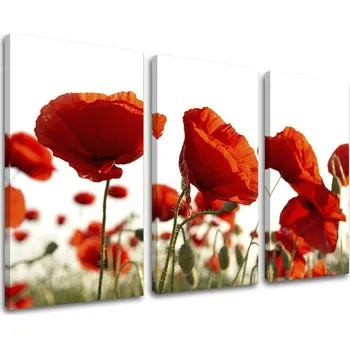 Obraz 3dílná nástěnná malba KVĚTINY XOBKV118E30