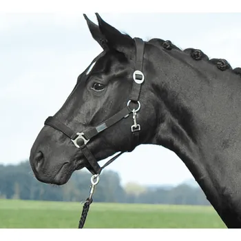 BUSSE Ohlávka Supreme BUSSE, černá PONY