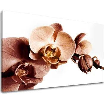 Obraz Nástěnná malba KVĚTINY XOBKV110E11