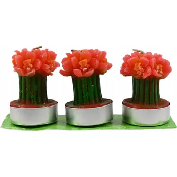 Svíčka SADA ČAJOVÝCH SVÍČEK DEKORATIVNÍ SVÍČKA KVĚTINA ROSTLINA