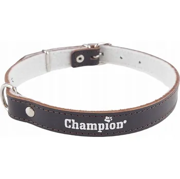 Obojek pro psa Kožený obojek pro psa Champion vel. S/M
