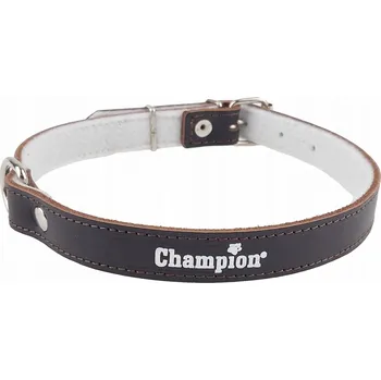 Obojek pro psa Kožený obojek pro psa Champion vel. M