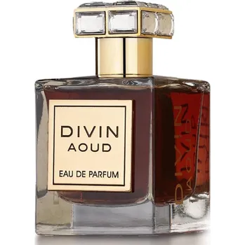 Unisex parfém Fragrance World Divin Aoud Unisex Eau de Parfum 100 ml