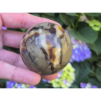 Sběratelství Koule ze septarie Ø57mm 268g Madagaskar