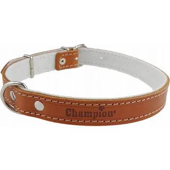 Obojek pro psa Kožený obojek pro psa Champion, velikost L