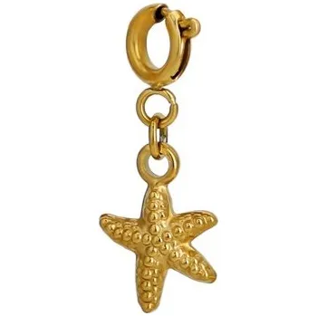 Přívěsek Přívěsek Hvězdice s připínací karabinkou