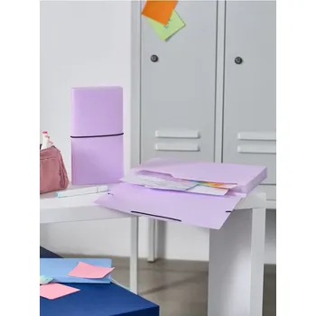 Pánská móda Sinsay - Složky na dokumenty 2 ks - fialová - 212FV-44X - 212FV-44X-ONE