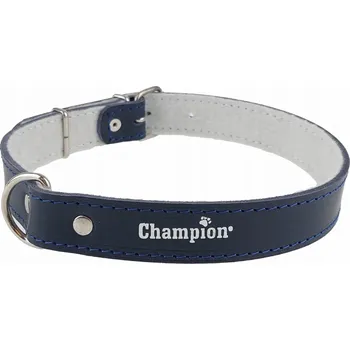 Obojek pro psa Kožený obojek pro psa Champion vel. L/XL