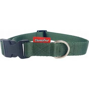 Obojek pro psa Materiálový obojek pro psa Champion vel. L/XL
