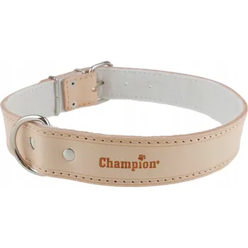 Obojek pro psa Kožený obojek pro psa Champion vel. XL