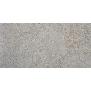 Dlažba NUEVA ALAPLANA Portland CAN5PORTDDGA 60 x 120 x 1 šedá 1,43 m2