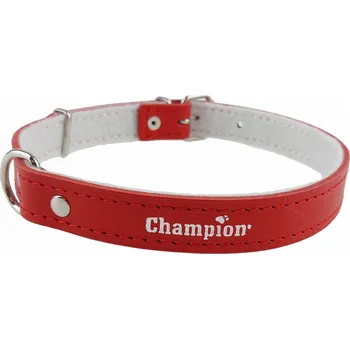 Obojek pro psa Kožený obojek pro psa Champion, velikost L