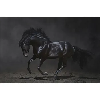 Obraz Obraz na plátně CVÁLAJÍCÍ ČERNÝ KŮŇ NA TMAVÉM POZADÍ 30 x 20 cm