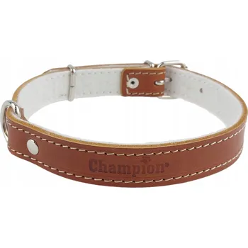 Obojek pro psa Kožený obojek pro psa Champion vel. M/L