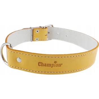 Obojek pro psa Kožený obojek pro psa Champion vel. XL/XXL
