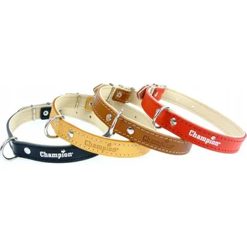 Obojek pro psa Kožený obojek pro psa Champion, velikost L