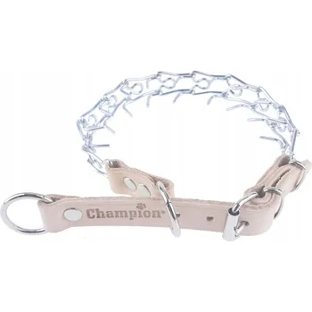Obojek pro psa Kovový obojek pro psa ostnatý obojek Champion vel. M