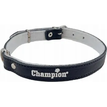 Obojek pro psa Kožený obojek pro psa Champion vel. S/M