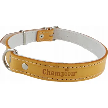 Obojek pro psa Kožený obojek pro psa Champion, velikost L