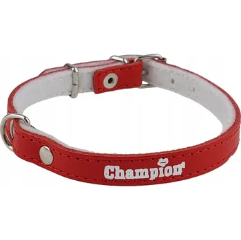 Obojek pro psa Kožený obojek pro psa Champion vel. XS