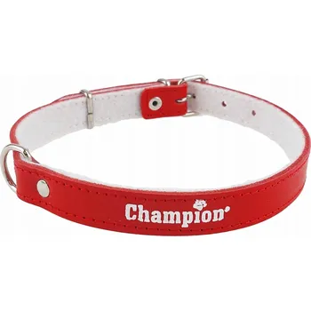 Obojek pro psa Kožený obojek pro psa Champion vel. S/M