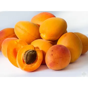 Sazenice Meruňka 'Leskora' Balení: prostokořenný stromek, Podnož: myrobalán