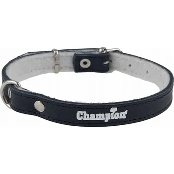 Obojek pro psa Kožený obojek pro psa Champion vel. XS/S