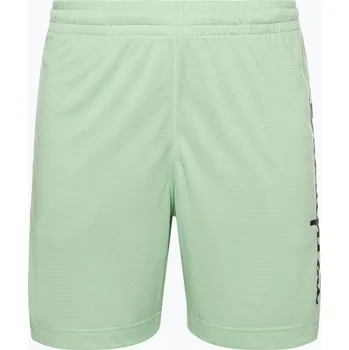 Pánské šortky Champion Legacy světle zelené
