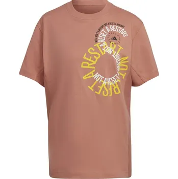 Pánské tričko Tričko adidas Fde Amb Blsh 1151926 XS