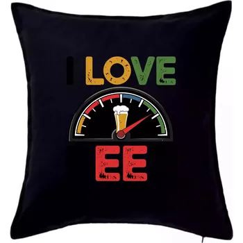 Polštář I love beer - palivoměr - Polštář 50x50 - 50x50 - Pouze potah ( Černá )