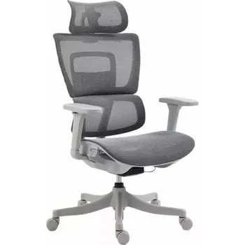 Kancelářská židle Caricia, šedá