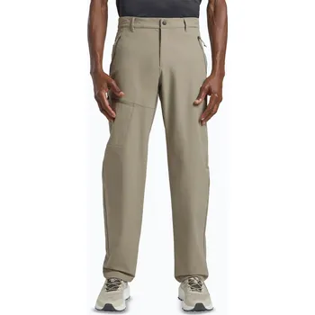 Pánské kalhoty Pánské trekové kalhoty Jack Wolfskin Pico Trail stone