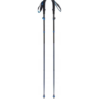 Trekingová hůl Běžecké hole Black Diamond Distance FLZ Poles - pewter 95-110 cm
