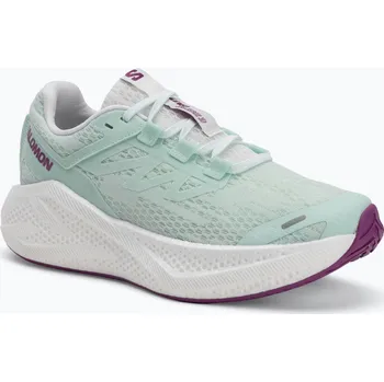 Dámská sportovní obuv Dámské běžecké boty Salomon Aero Glide 3 bay/white/wilowherb