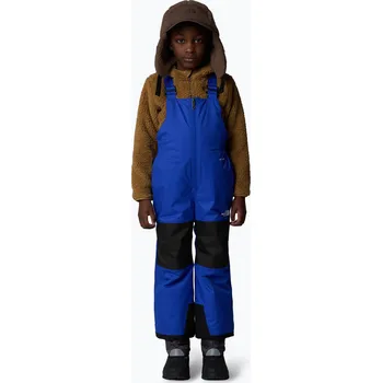 Snowboardové kalhoty Dětské lyžařské kalhoty The North Face Kid Freedom Insulated Bib blue
