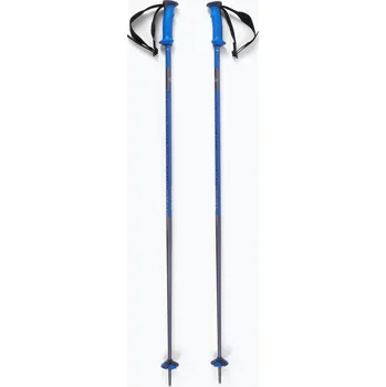 Lyžování Lyžařské hole Salomon Polar Pro race blue