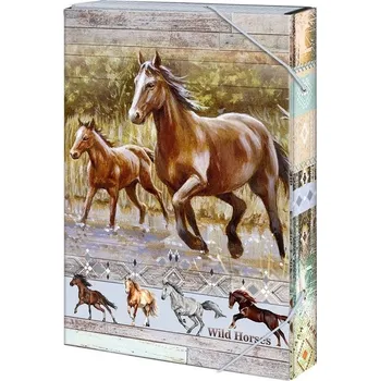 desky na sešit Box na sešity A5 Wild horses