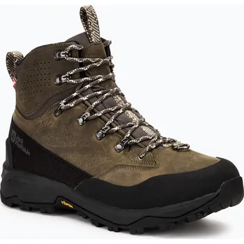 Pánská obuv Pánské trekové boty Jack Wolfskin Terraquest Arctic Texapore Mid cold coffee