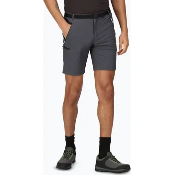 Pánské trekingové šortky Regatta Xert Stretch III seal grey