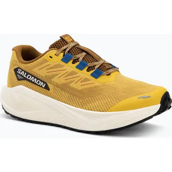 Pánská běžecká obuv Pánské běžecké boty Salomon Aero Blaze 3 GRVL spicy mustard/vanilla ice/nautical blue