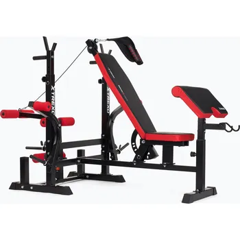 Posilovací lavice Posilovací lavice TREXO BenchFit Max se stojanem a bicepsovým pultem black